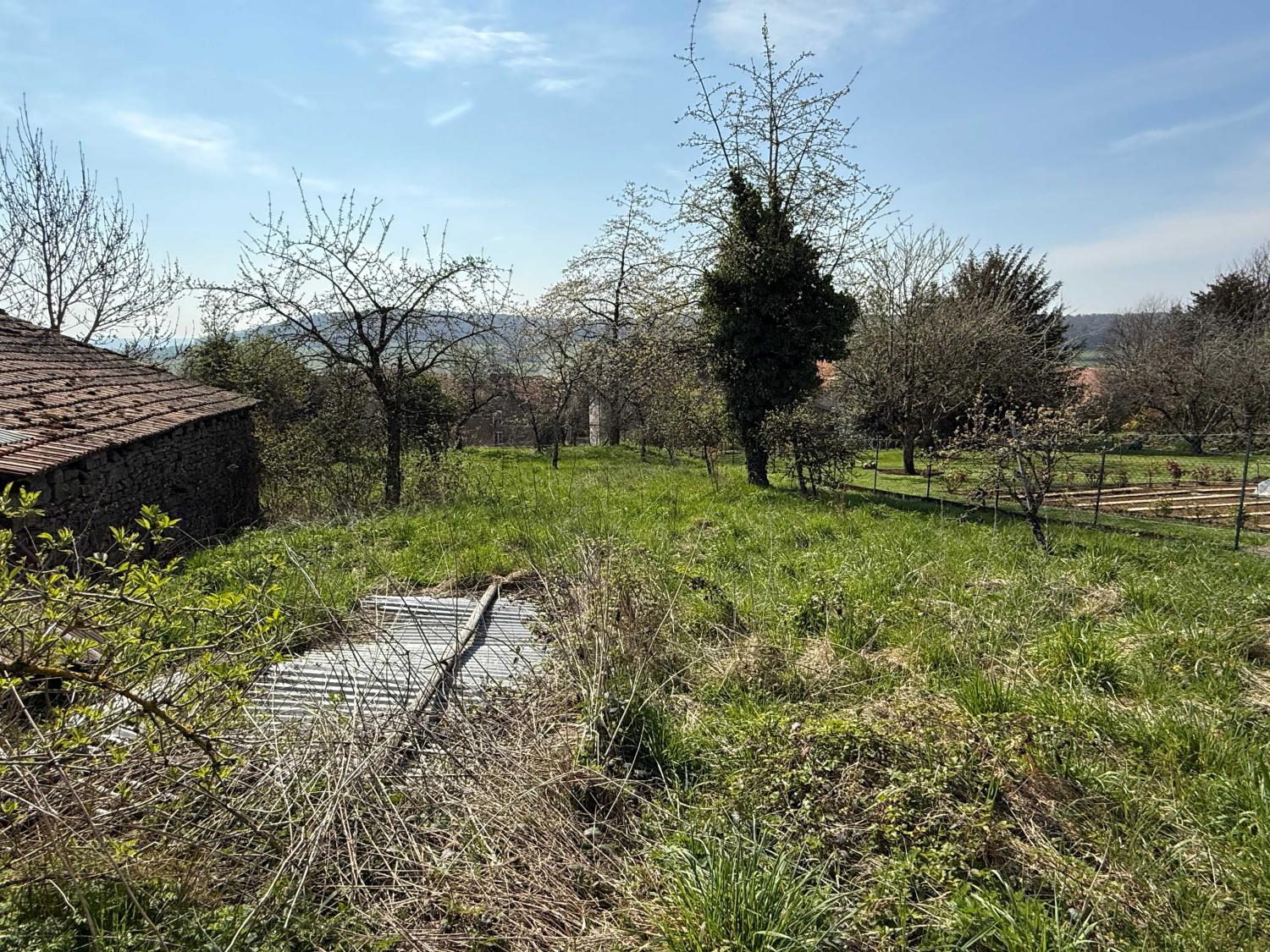 te koop dorpsboerderij Beaufremont Vogezen 8