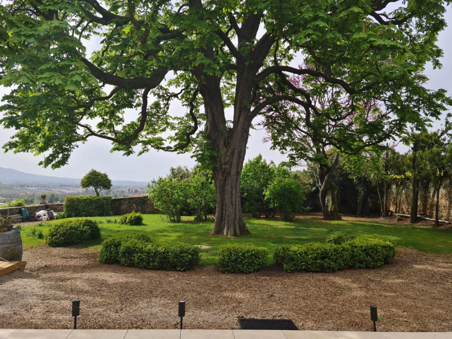  te koop huis Pommiers Rhône 5