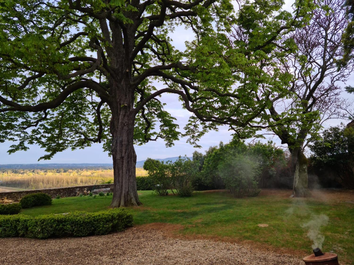  te koop huis Pommiers Rhône 23