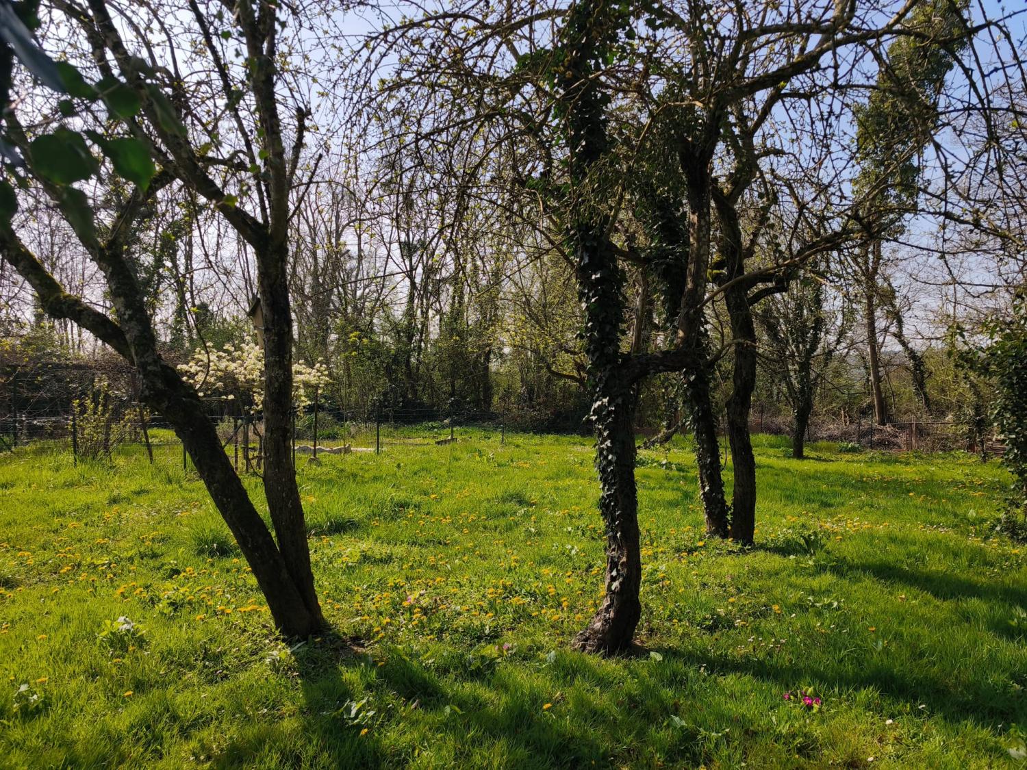 te koop eco huis Tazilly Nièvre 19