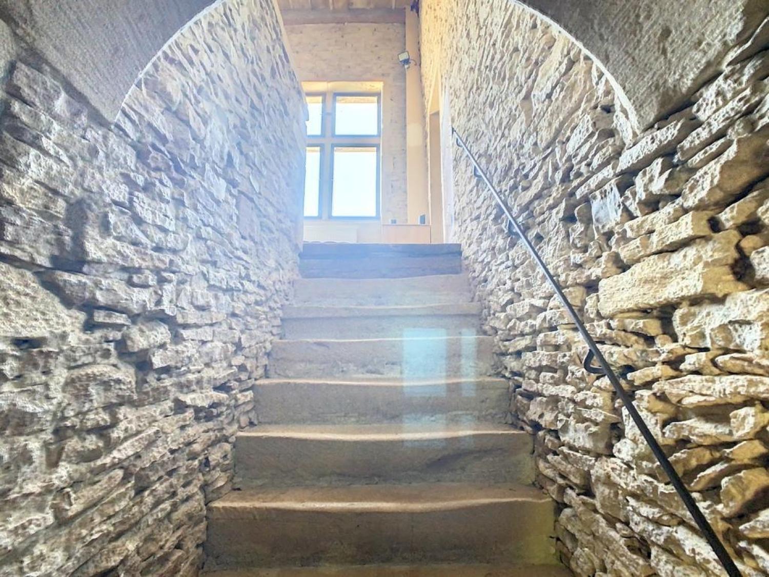  te koop huis Pommiers Rhône 2