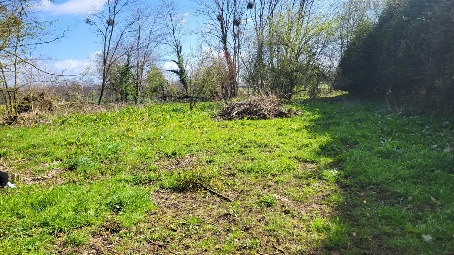  te koop vrijstaand Maupertuis Manche 4