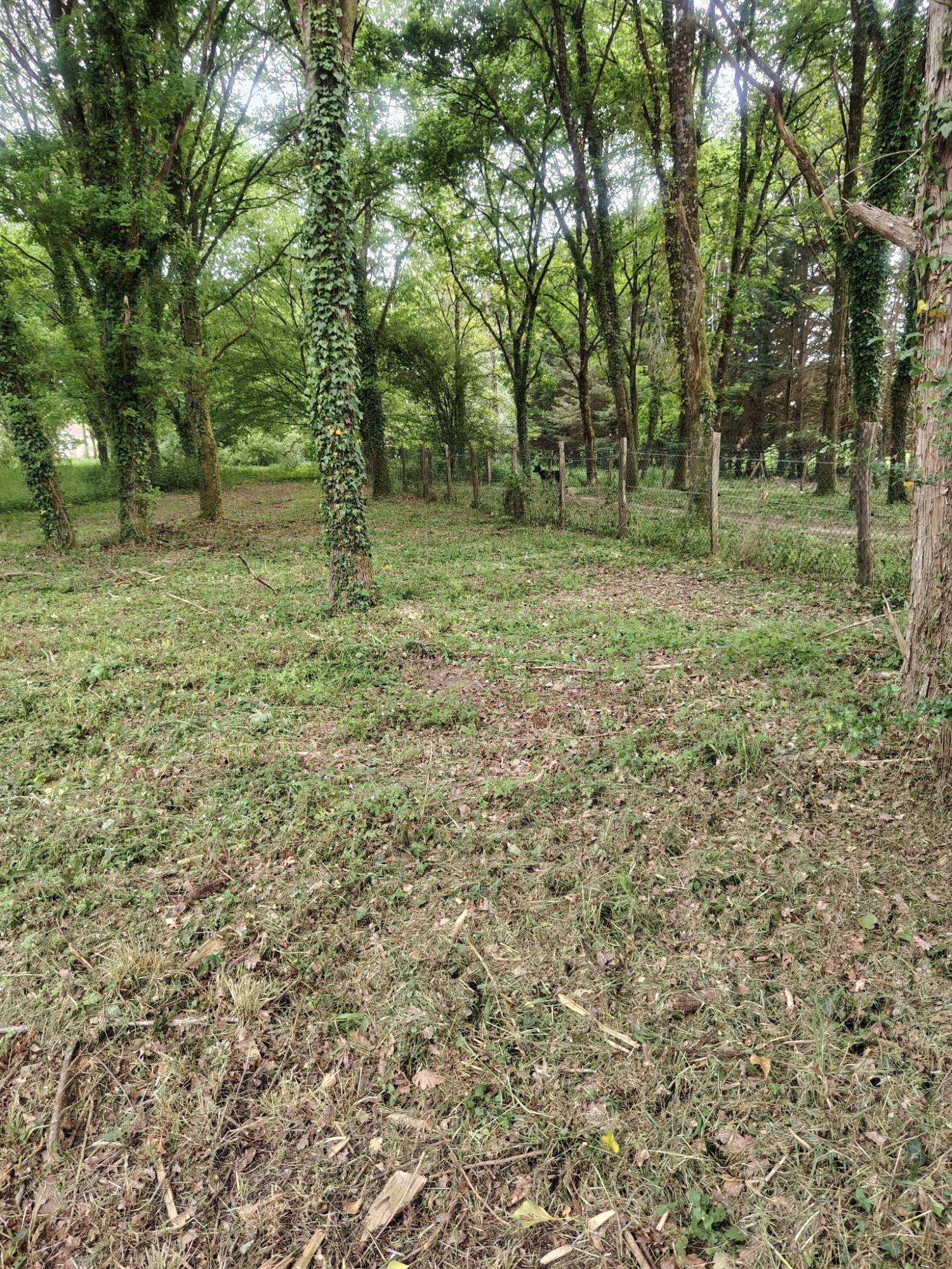 te koop huis Saint-Malo-en-Donziois Nièvre 23
