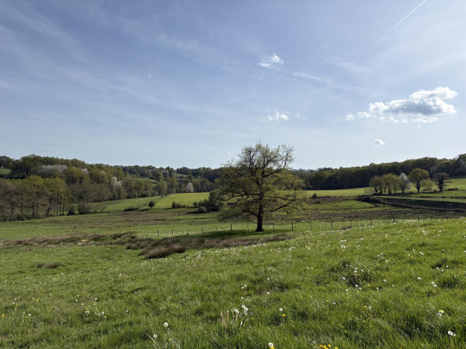 te koop huis met gîte Nexon Haute-Vienne 4