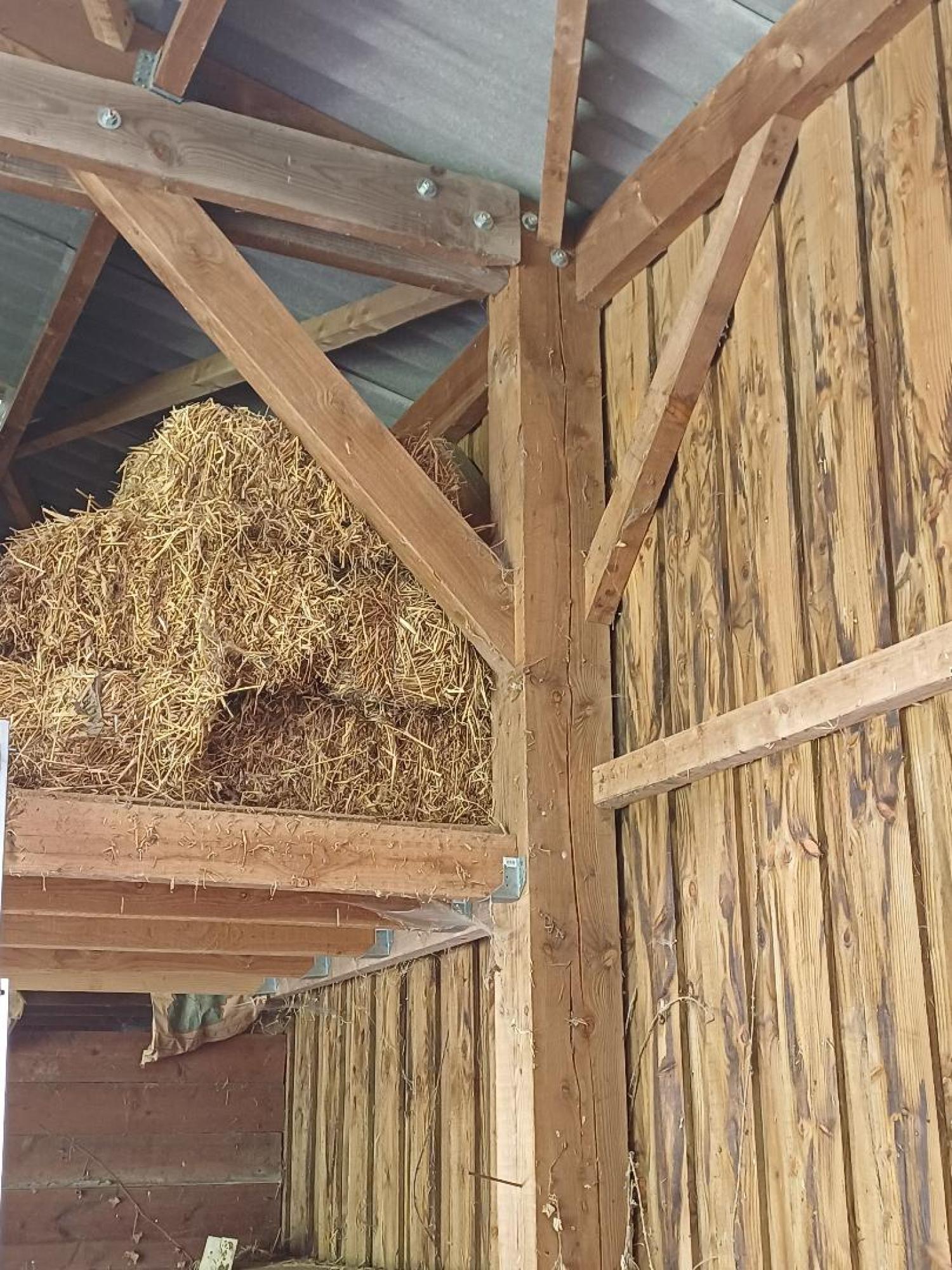 te koop huis Saint-Plantaire Indre 28