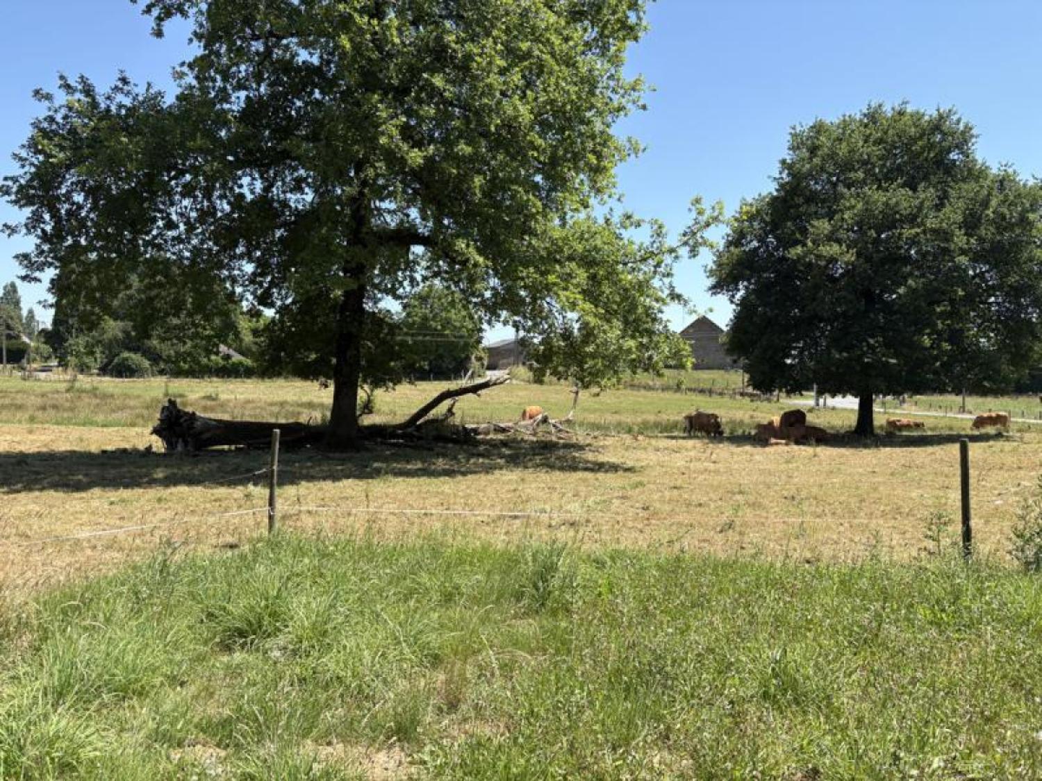 te koop huis met gîte Beyssenac Corrèze 25
