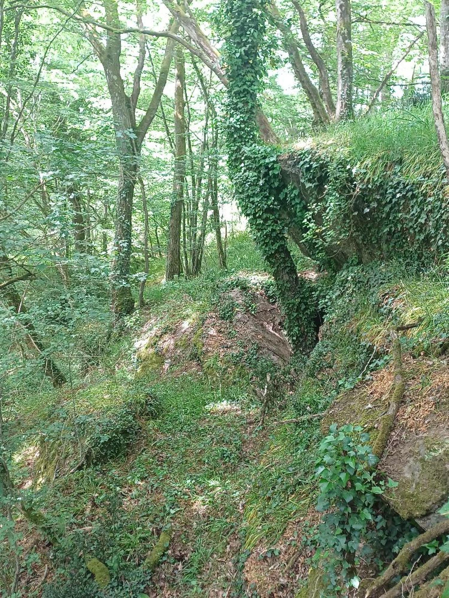 te koop huis Saint-Plantaire Indre 31