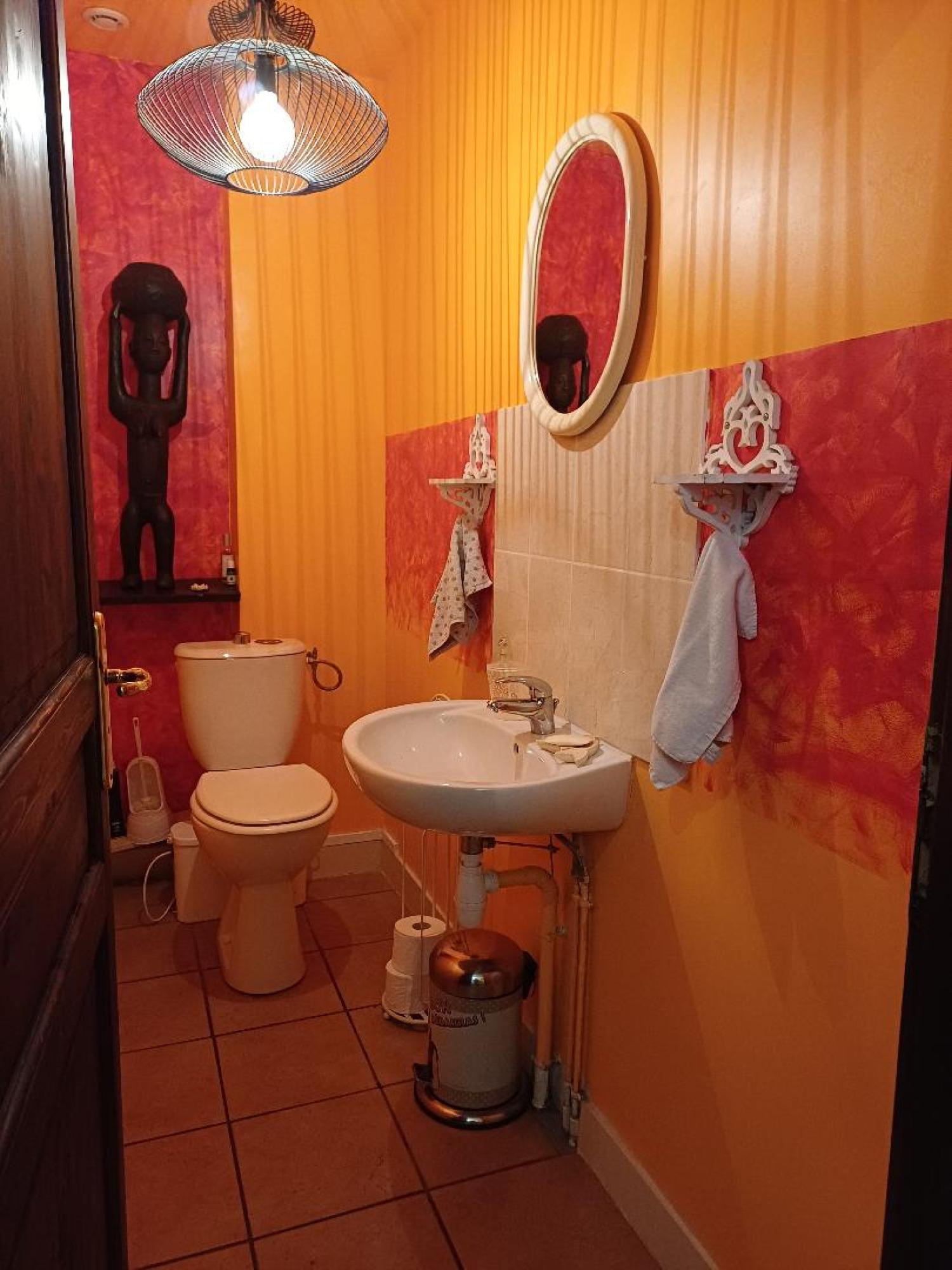 te koop huis Saint-Plantaire Indre 21