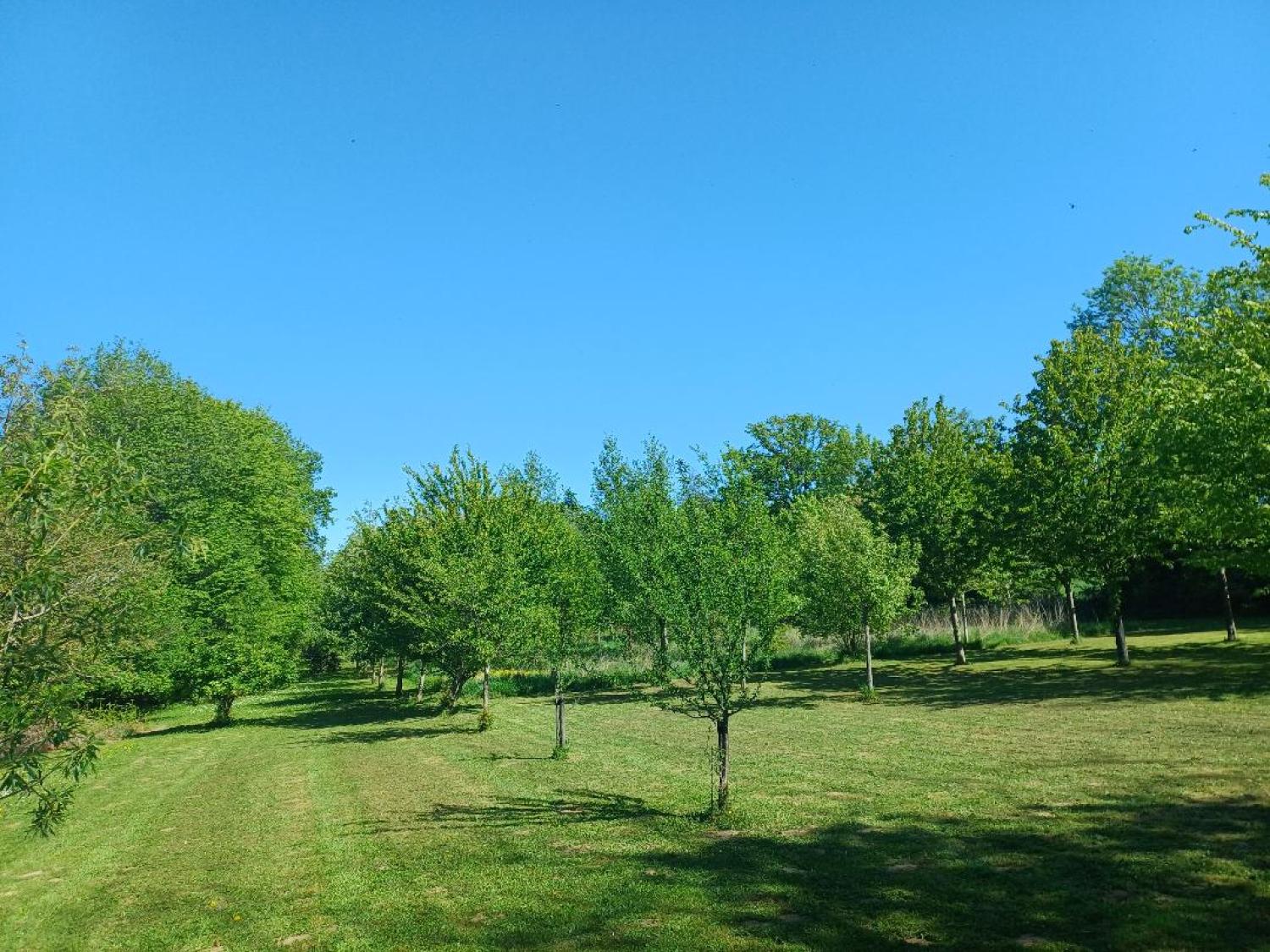 te koop huis Saint-Plantaire Indre 39