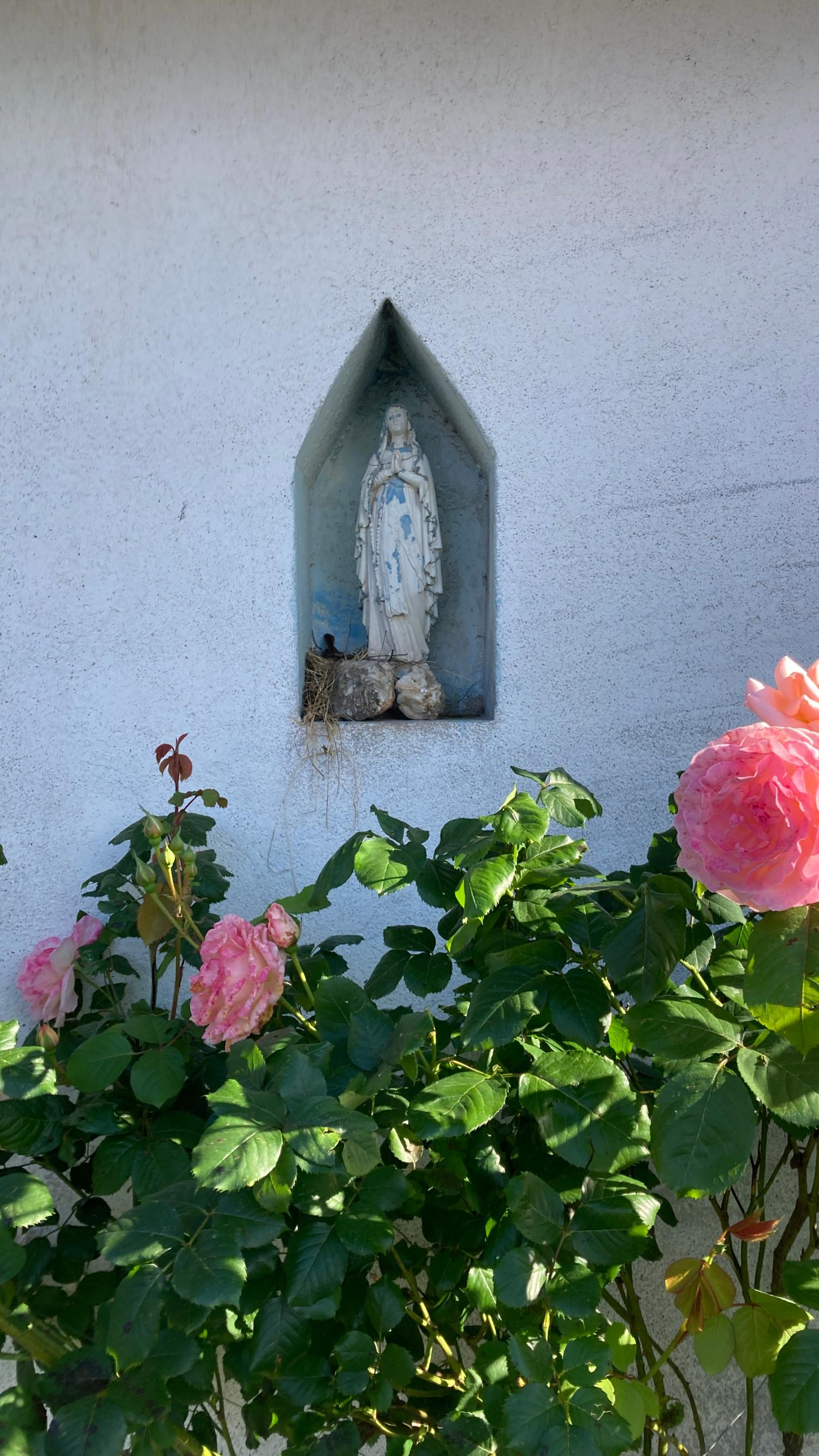 te koop boerderij Saint-Sernin-sur-Rance Aveyron 29