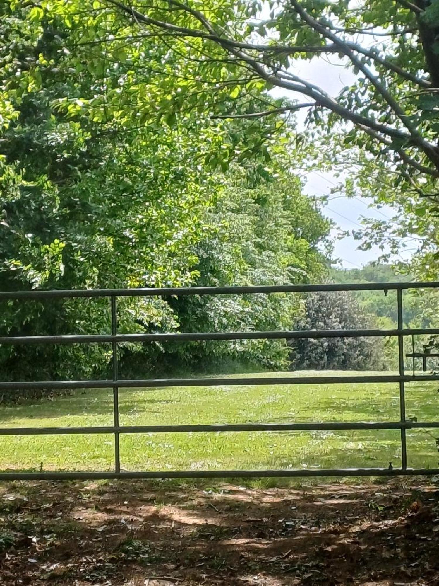 te koop huis Saint-Plantaire Indre 41