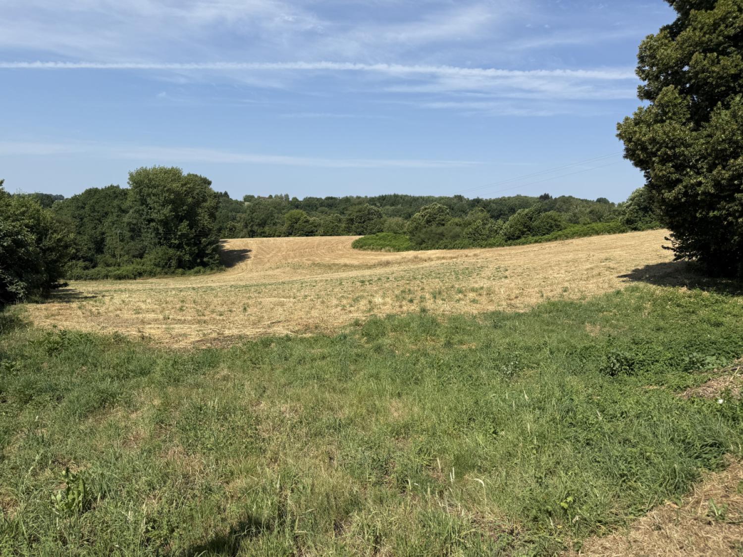 te koop boerderij Concèze Corrèze 5