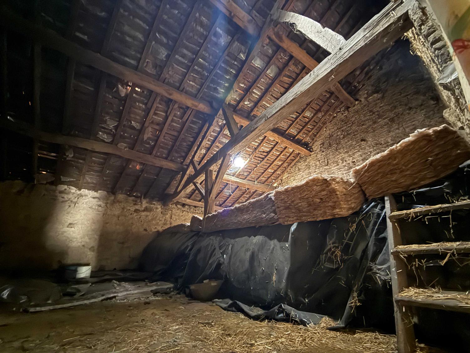te koop dorpshuis Bourbonne-les-Bains Haute-Marne 14