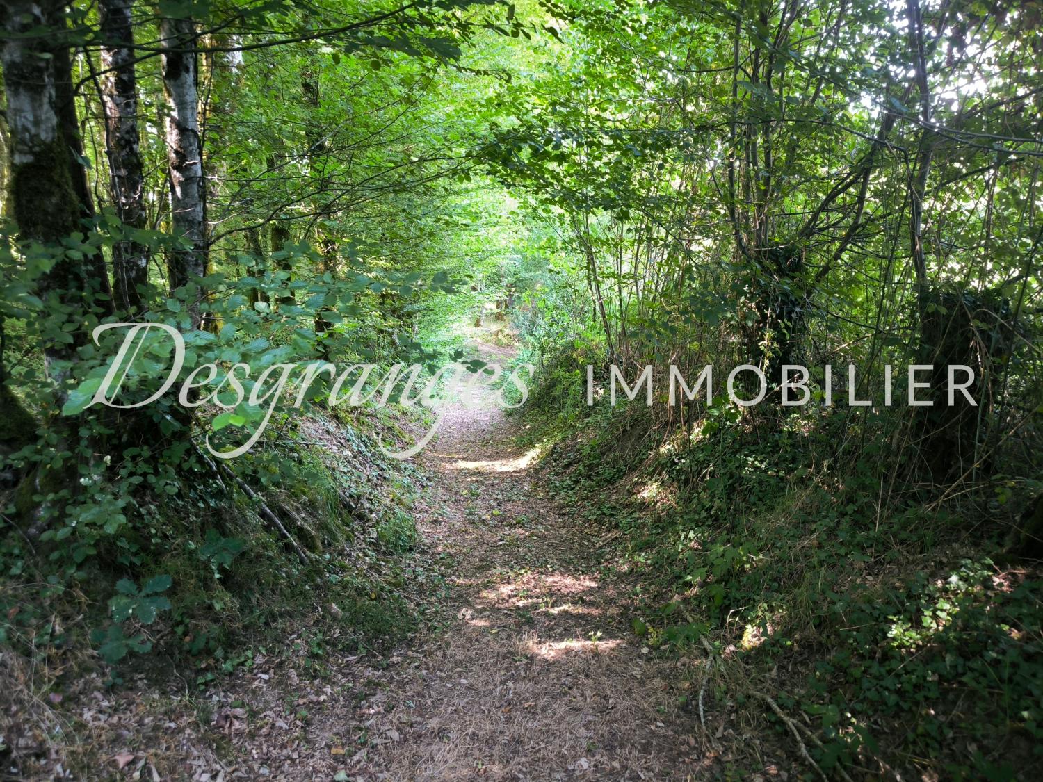 te koop landgoed Savignac-Lédrier Dordogne 20