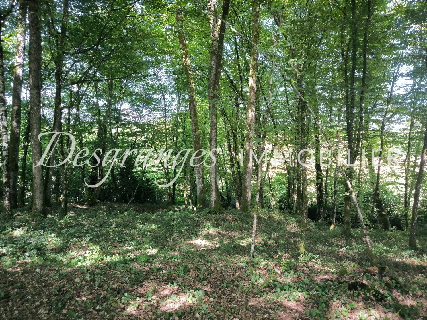 te koop landgoed Savignac-Lédrier Dordogne 21