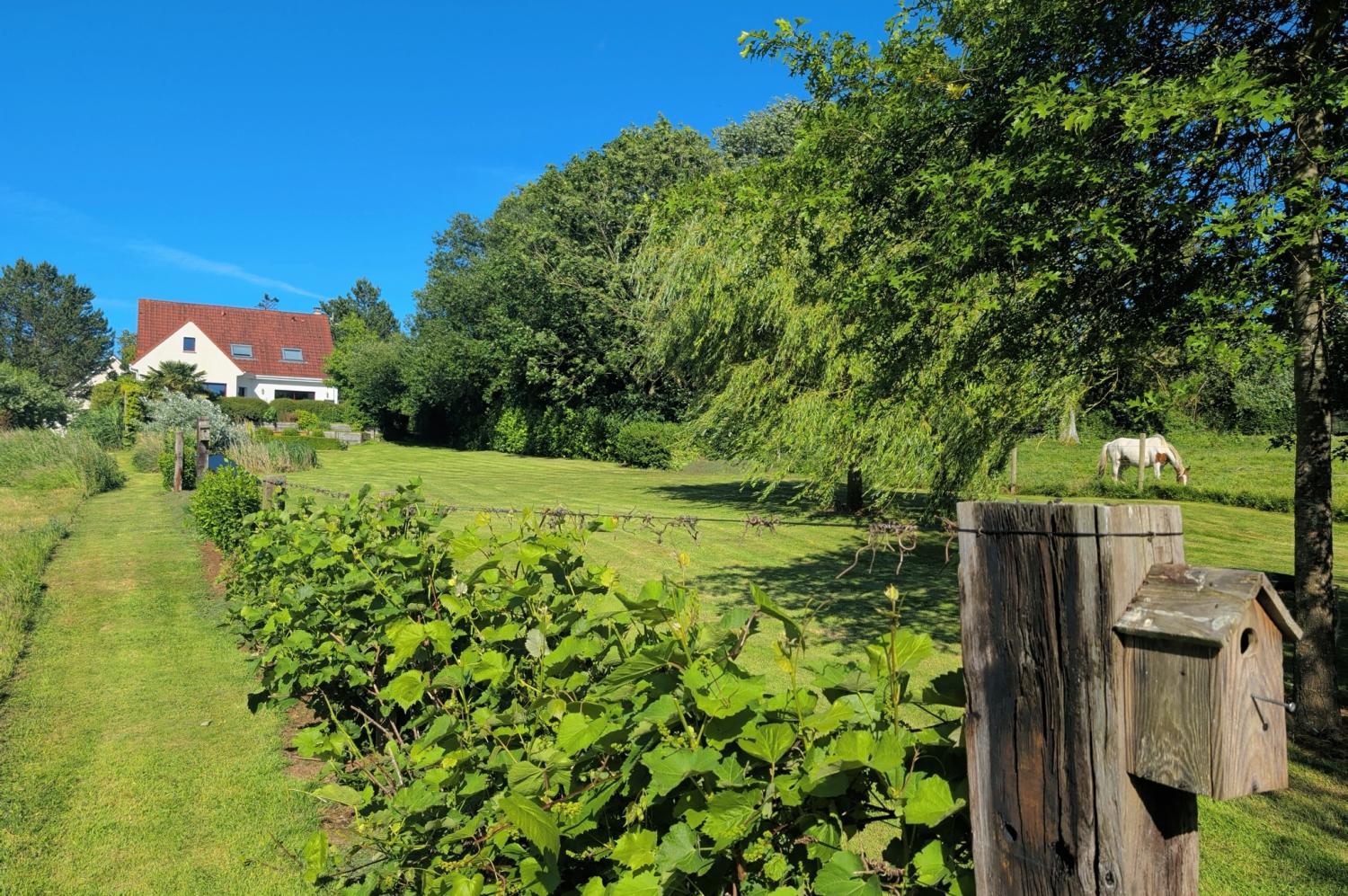 te koop villa Audembert Pas-de-Calais 7