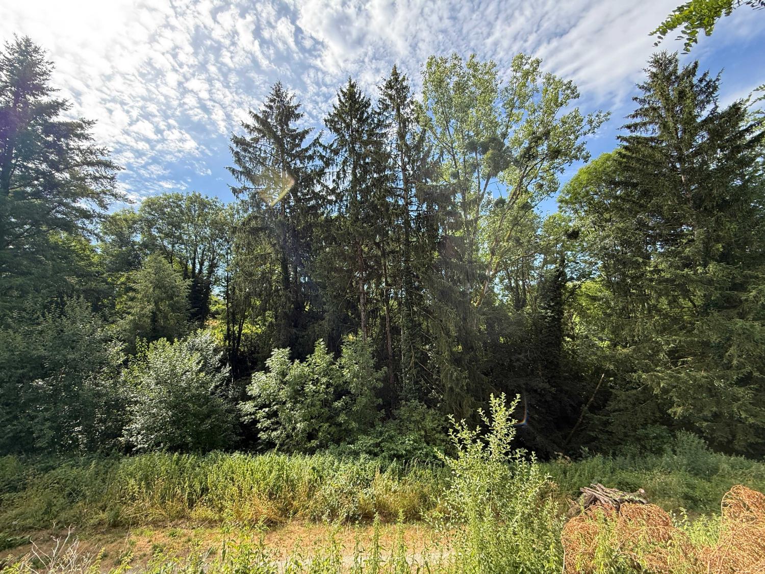 te koop dorpshuis Bourbonne-les-Bains Haute-Marne 21