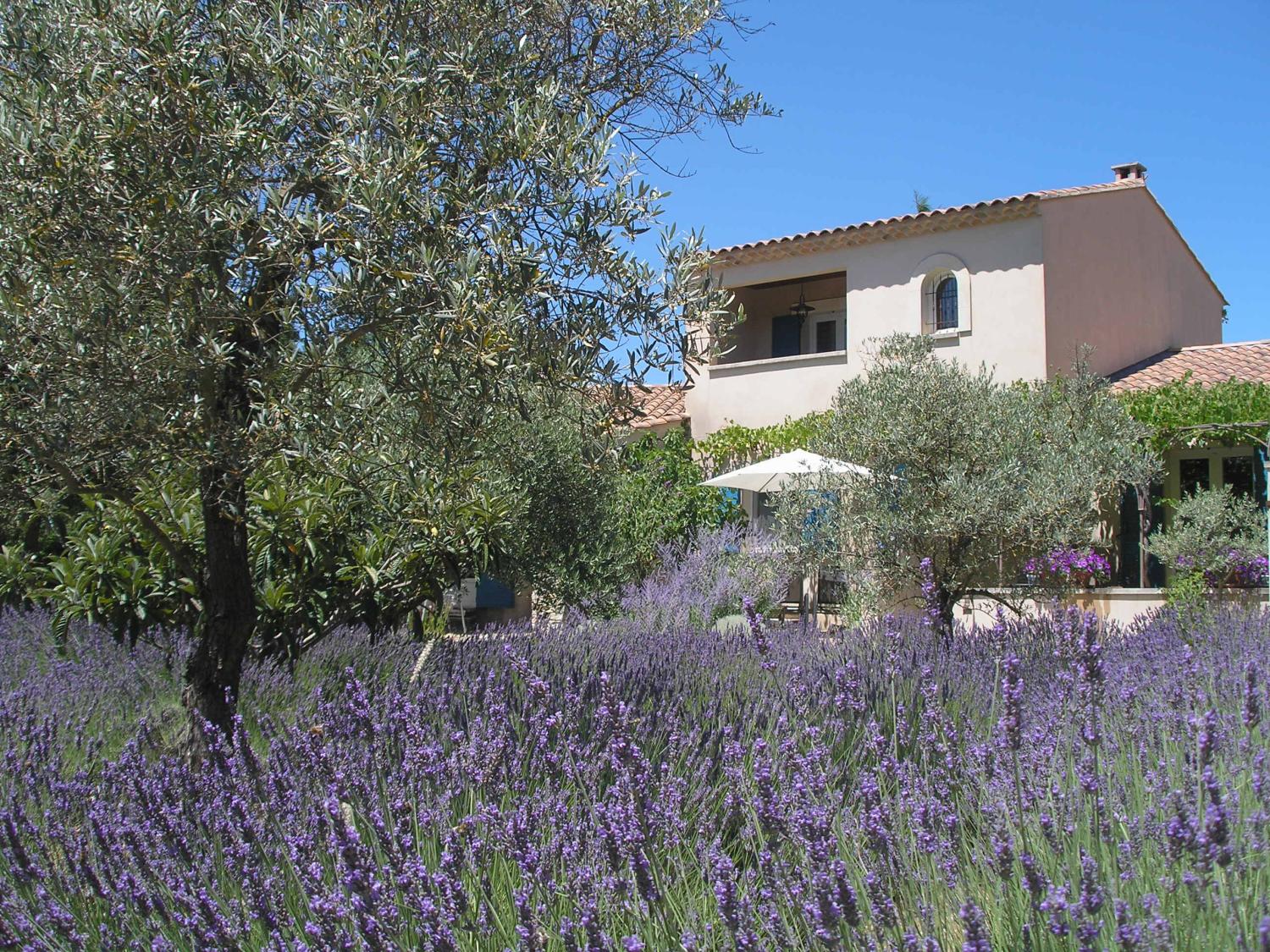  te koop gîtes/ chambres d'hôtes Lacoste Vaucluse 1