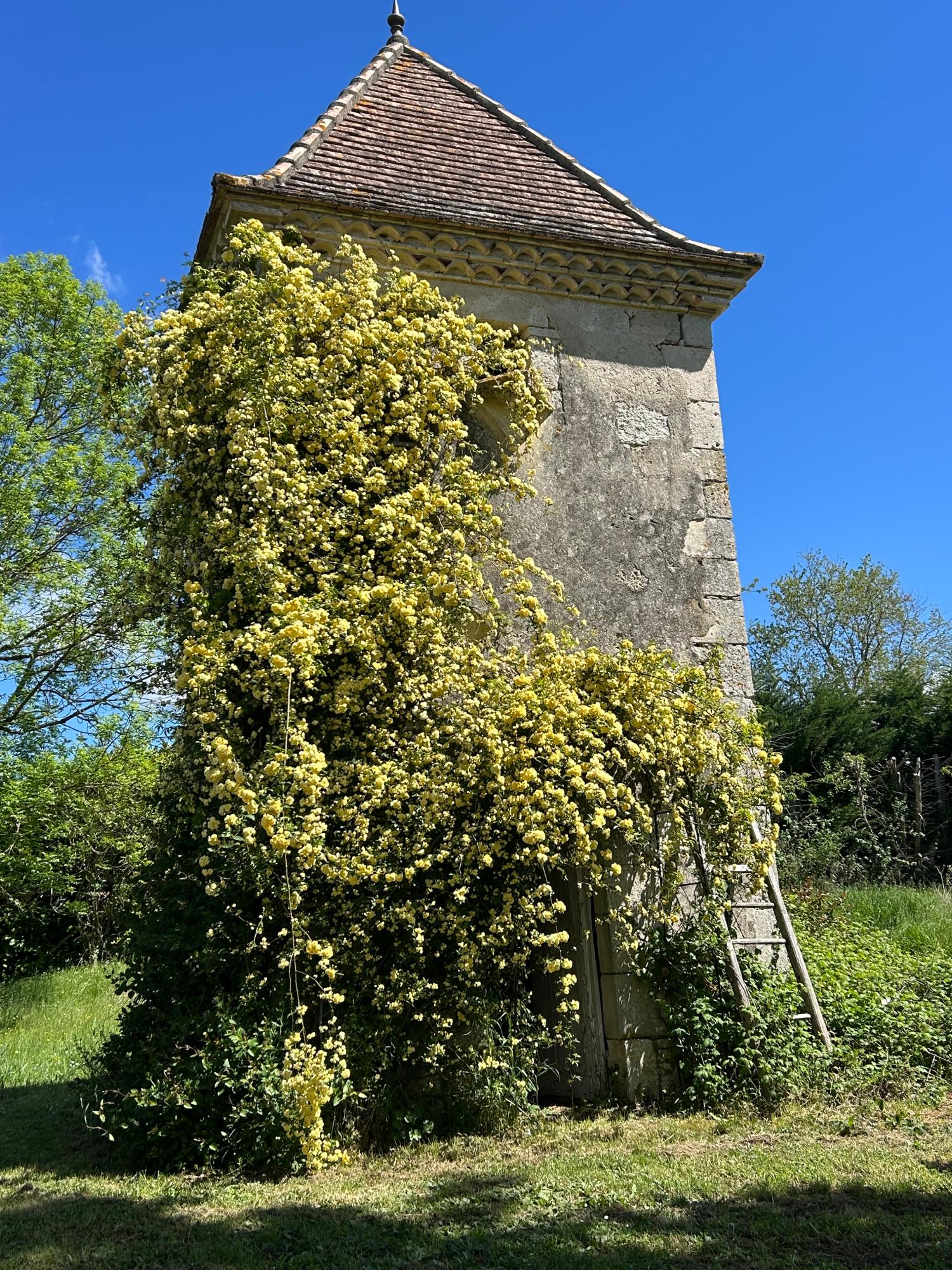  te koop vrijstaand Grayssas Lot-et-Garonne 30