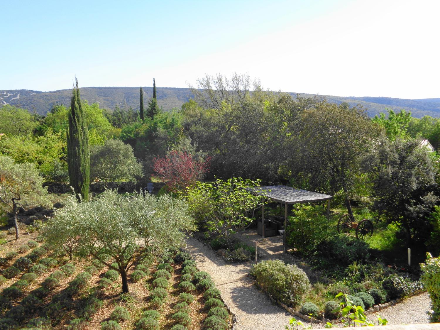  te koop gîtes/ chambres d'hôtes Lacoste Vaucluse 10