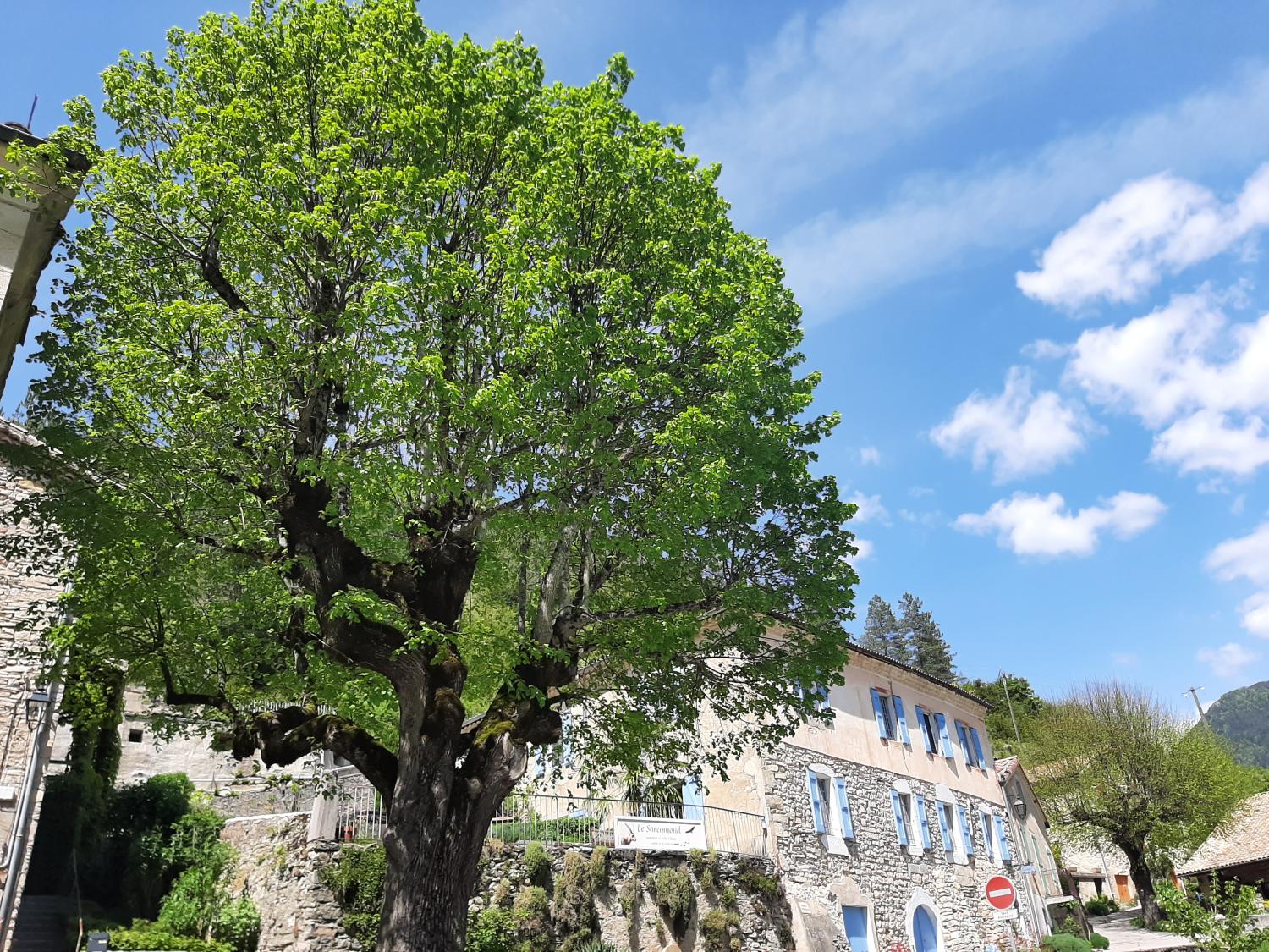 te koop vrijstaand Châtillon-en-Diois Drôme 44