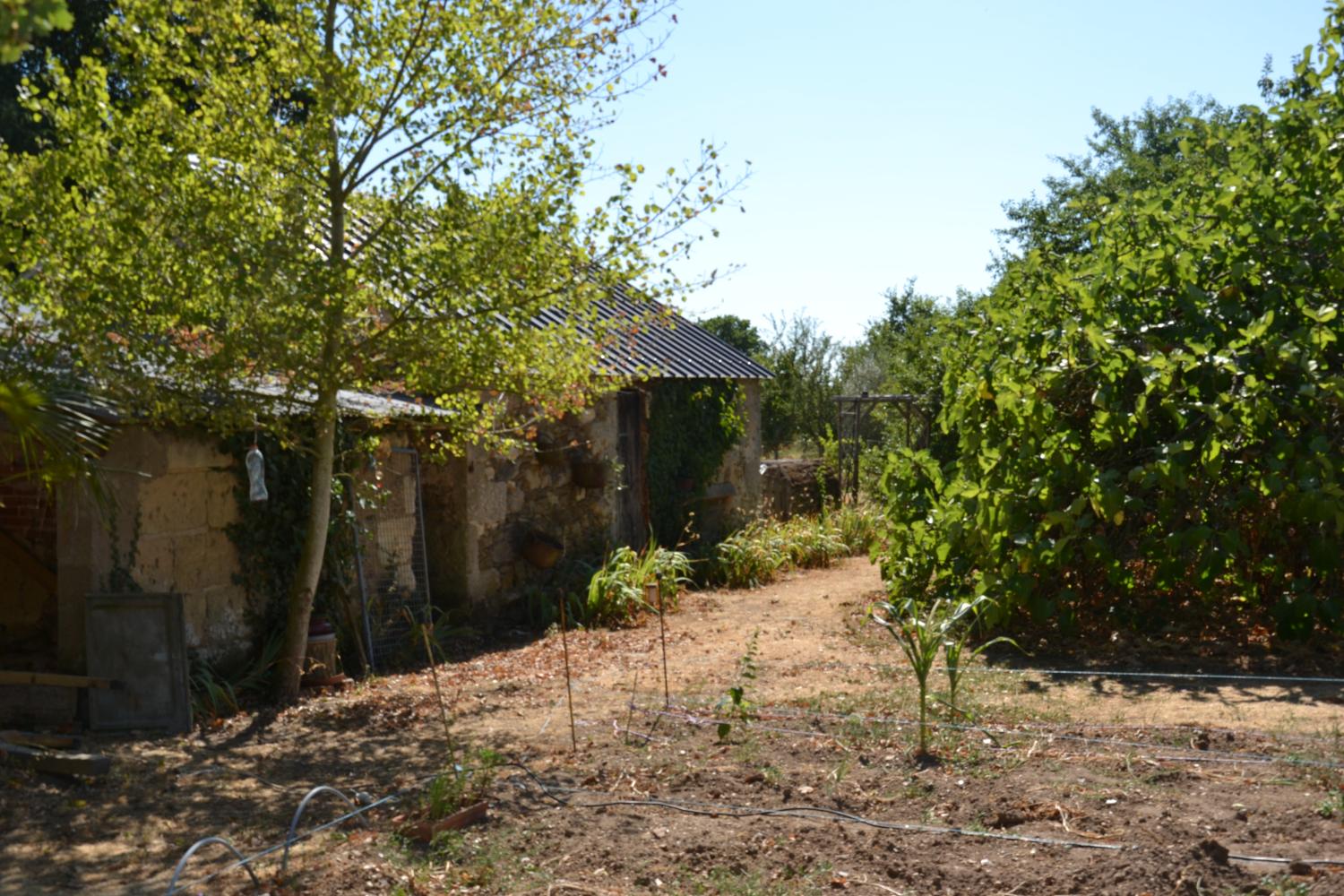  te koop boerderij Chavagnes Maine-et-Loire 3