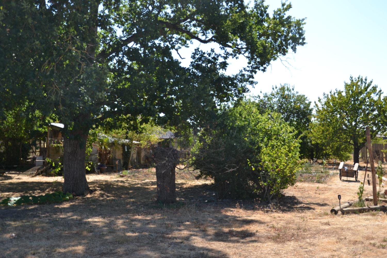  te koop boerderij Chavagnes Maine-et-Loire 4