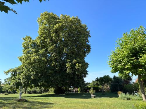  te koop landgoed Saint-Cyprien Dordogne 4