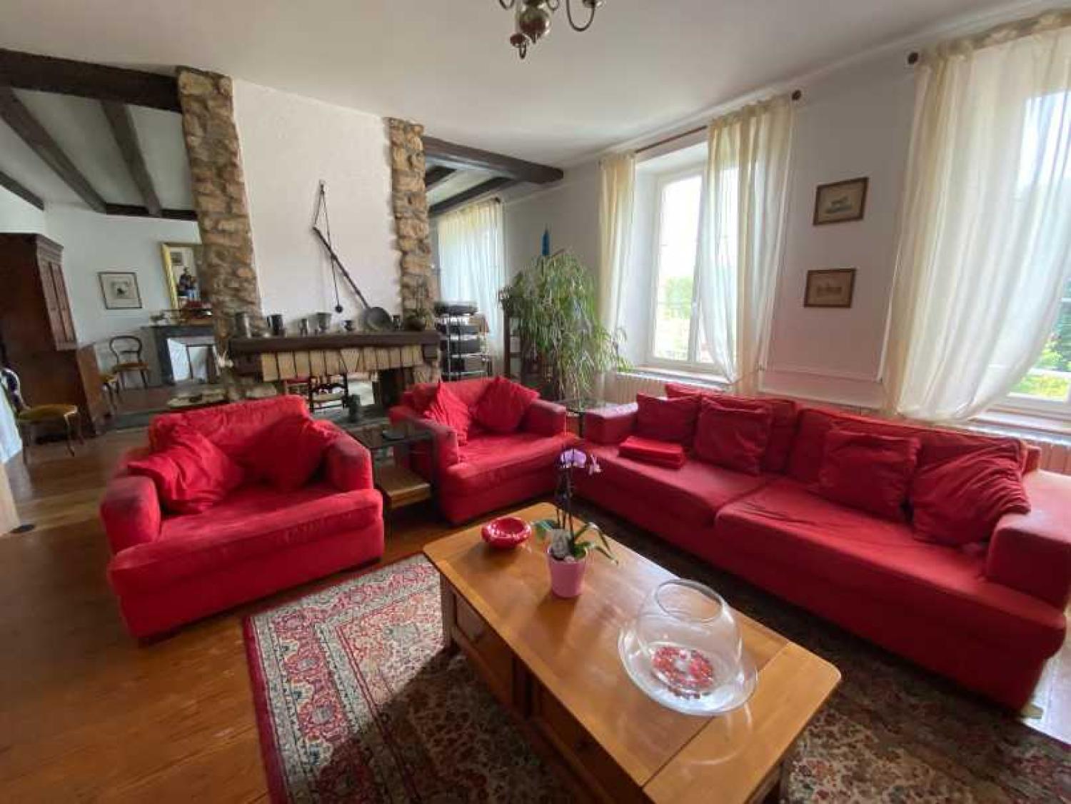  te koop herenhuis Châtillon-sur-Saône Vogezen 20
