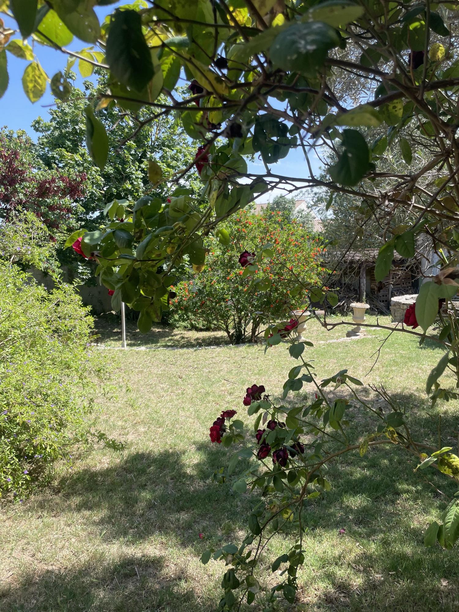  te koop dorpshuis Narbonne Aude 3