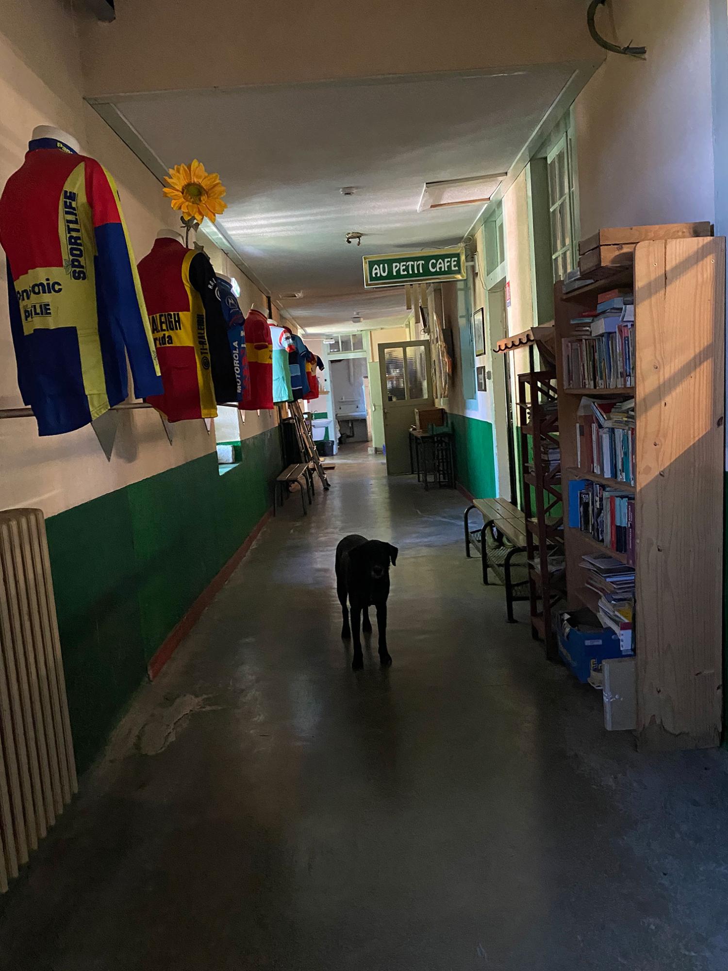 te koop gîtes/ chambres d'hôtes Corravillers Haute-Saône 6