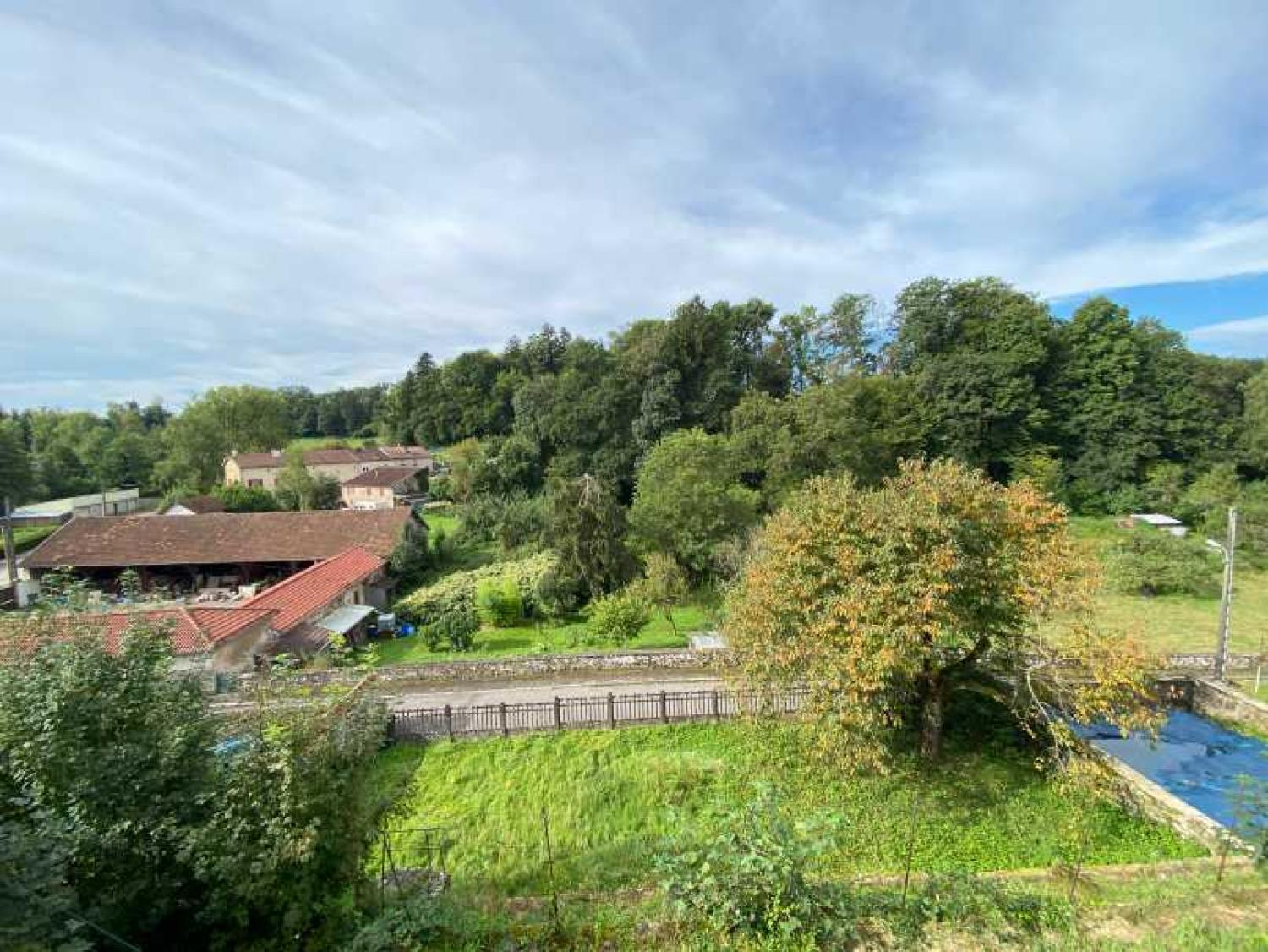  te koop herenhuis Châtillon-sur-Saône Vogezen 36
