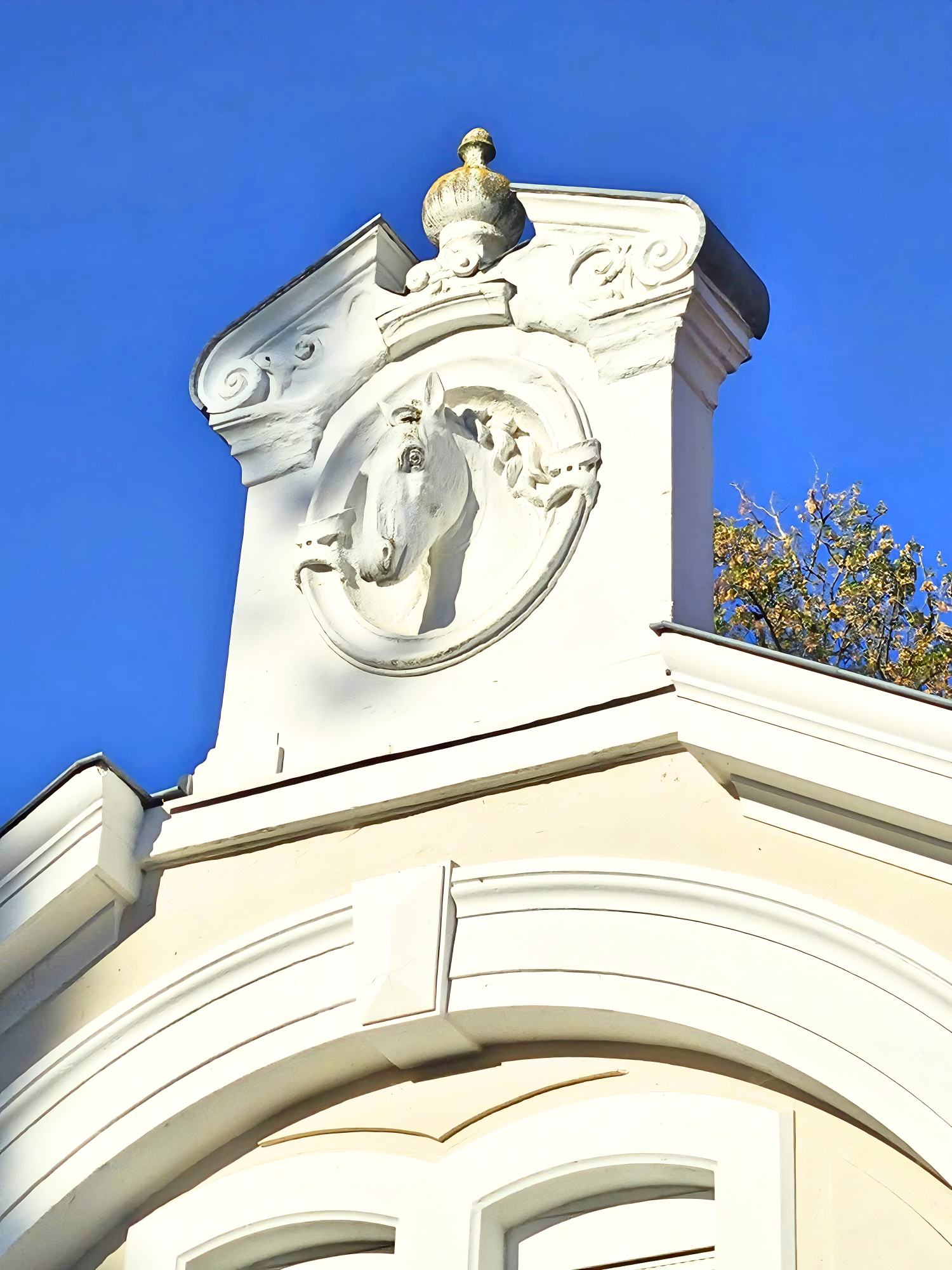 te koop huis Sorbiers Loire 5