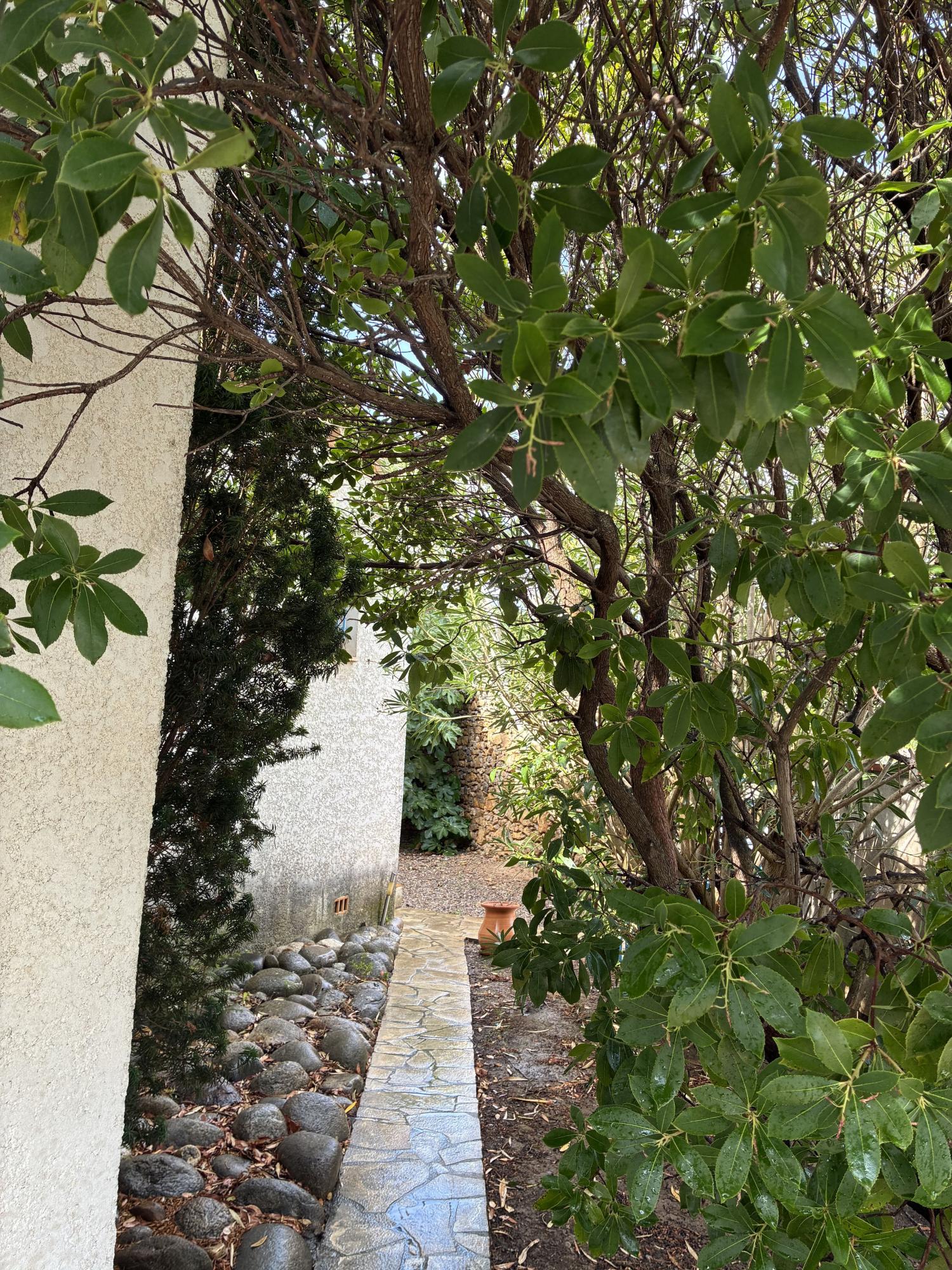  te koop dorpshuis Narbonne Aude 13