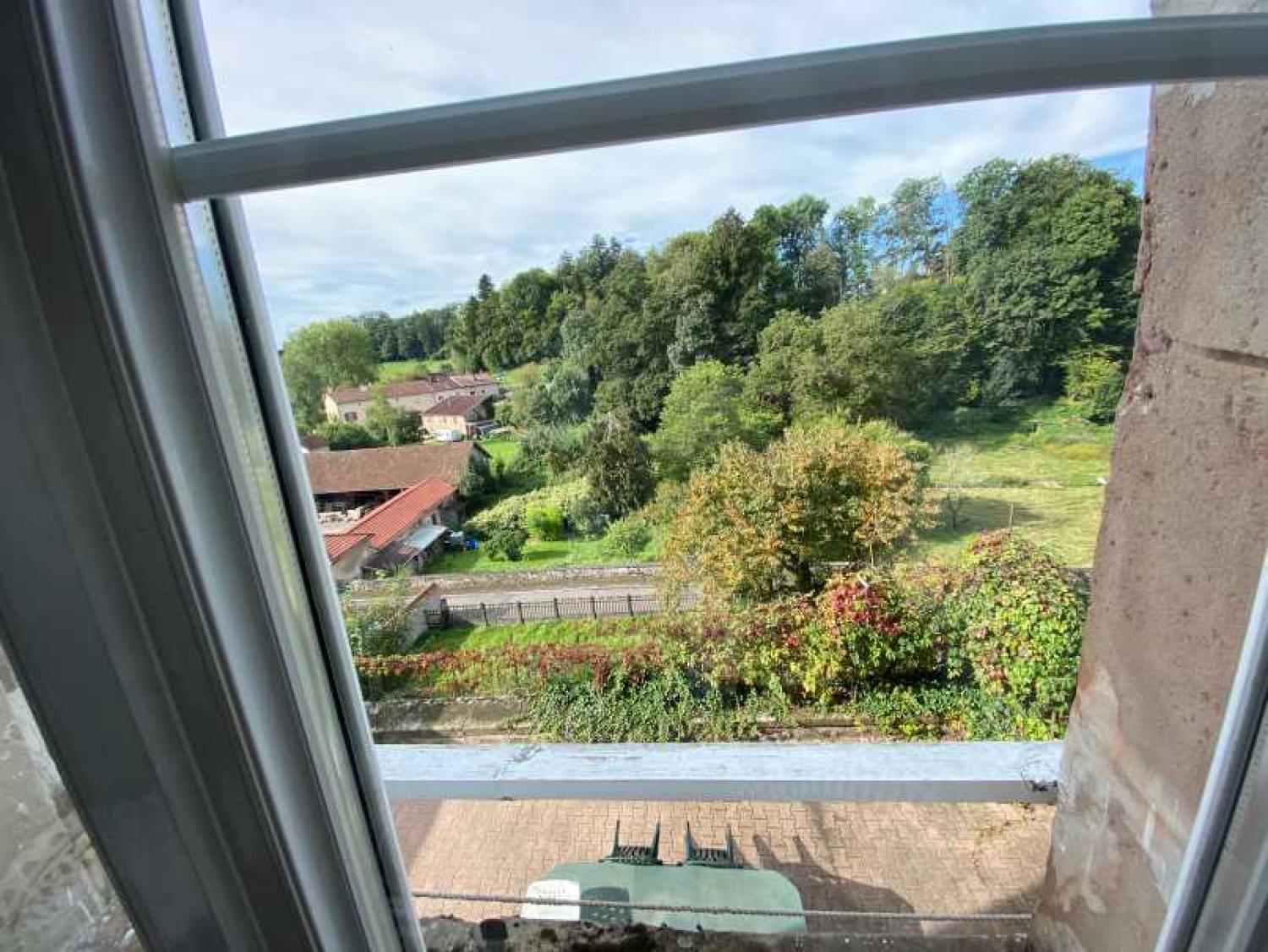  te koop herenhuis Châtillon-sur-Saône Vogezen 23