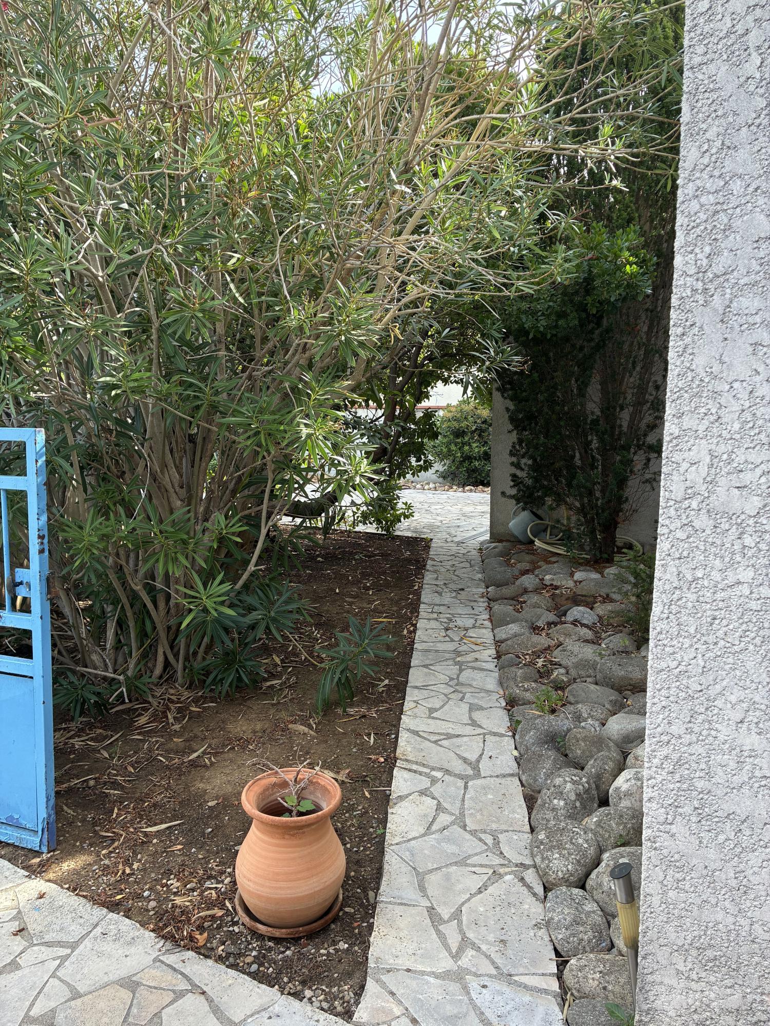  te koop dorpshuis Narbonne Aude 12